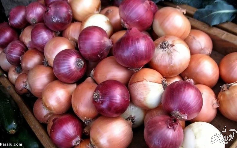 طرز تهیه سوپ رشته فرنگی، خوش طعم و لذیذ پیاز